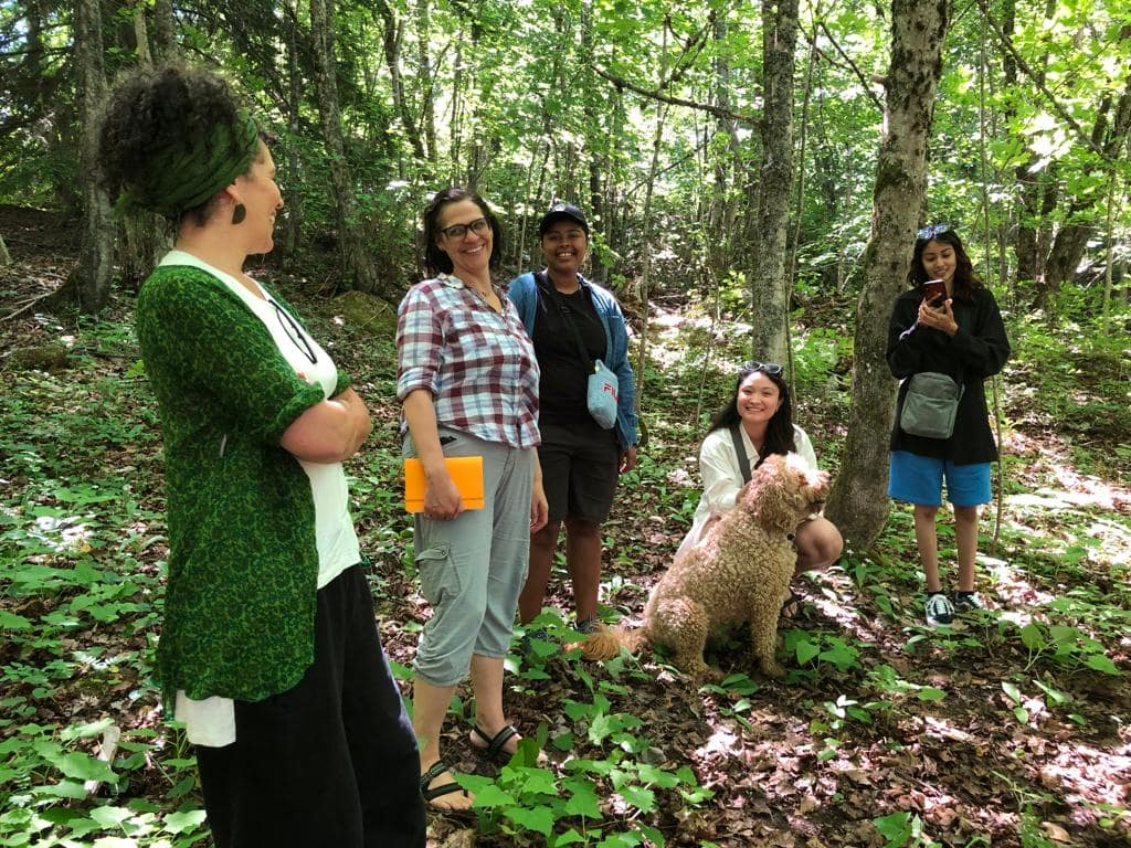 five people and a dog talking in a forest in summertime