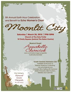 poster for Moonlit City concert